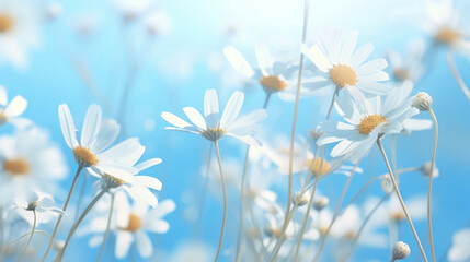 Wall Mural - Abstract pastel background with wild little daisies