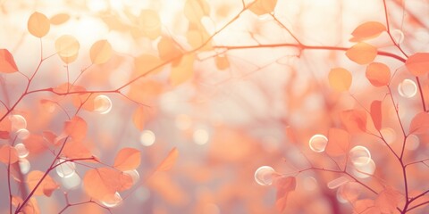 Fototapete -  Bokeh Light Effect with Unsharp, Warm Autumn Foliage Background, Embracing Ethereal Lens Flare and Artistic Circles in Photography