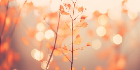 Fototapete -  Bokeh Light Effect with Unsharp, Warm Autumn Foliage Background, Embracing Ethereal Lens Flare and Artistic Circles in Photography