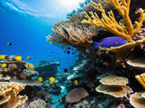 Fototapeta Do akwarium - Underwater world filled with colorful coral reefs