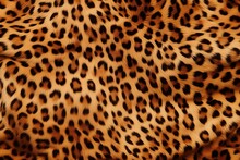 Leopard Fur Skin Texture 