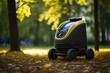 Robot cleaner for collecting garbage in city parks and on the streets