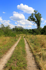 Wall Mural - dirt road in steppe