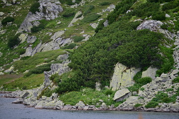 Mountain detail view after hiking in summer time from warm weather to cold weather