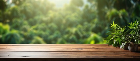 Poster - Morning view of a green garden through a blurry window with an empty wooden table suitable for product display or design visual layout