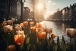 blooming dutch tulips on background of Amsterdam kanal, sunny light day, generative ai