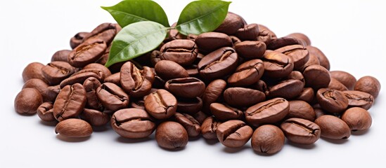 Poster - Coffee beans with leaves isolated on white background