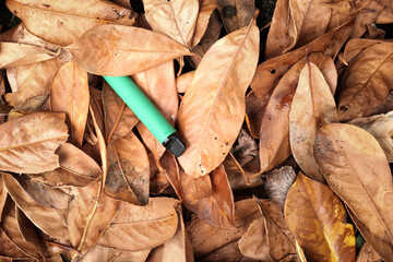 A bright green e-cigarette vape has been discarded on golden autumn leaves.