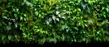 Building Eco Friendly Vertical Gardens With Green Walls And Nature Friendly Designs