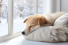 A Dog Sleeping On A Pillow In Front Of A Window. AI Image.