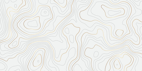 Wall Mural - Abstract topographic contours map background. Topography white and golden wave lines vector background. Topographic map Patterns, Topographic map and place for texture. Wavy curve lines banner design.