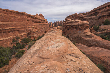 Wall Mural - hiking the devils garden trail, arches national park, usa