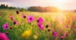 Nature Backdrop with Sunlight and Soft Focus - Wide Banner with Space for Text - Seasonal Wildflower Theme