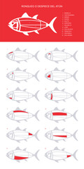 Tuna Cuts diagram (ronqueo). Parts of tuna written in Spanish.