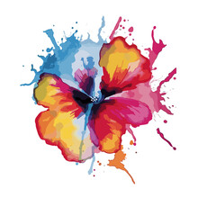 Pansy, Graphic , Illustration, Watercolor PNG