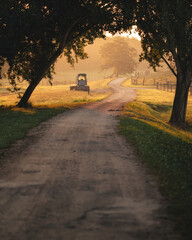 Wall Mural - Road in the countryside in autumn