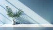A light blue wall in an empty room with a palm leaf plant in it and sunlight coming in from a window. - kitchen still life and minimalistic. - romantic scenery