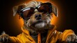 funny dog in sunglasses on dark background. Fashionable dog dressed in beautiful clothes.