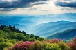 Beautiful summer landscape of blue ridge parkway near Asheville, North Carolina. Generative AI