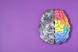 © New Africa - Logic and creativity. Paper brain with one colorful hemisphere and another grey on purple background, top view. Space for text
