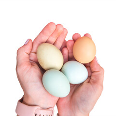 caucasian women's hands holding colorful chicken eggs. easter eggers in blue, green, and brown color