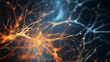 Neural Synapses in Human Brain: The Intersection of Neuroscience and AI