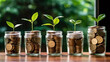 © Sunday Cat Studio - Young plants growing from coins in several savings jars, saving money for future, alternative investments and sustainability concept.