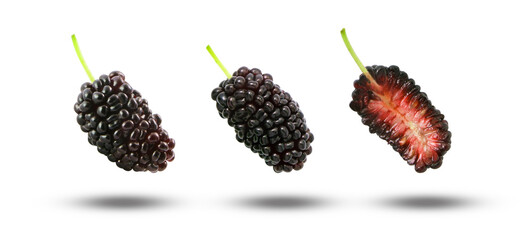 Wall Mural - Flying mulberry fruit collection isolated on white background.