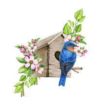 Bluebird On The Birdhouse With Spring Flowers. Watercolor Hand Painted Illustration. Cozy Spring Decoration. Bluebird On The Cozy Birdhouse, Blooming Spring Flowers And Green Leaves Decor Isolated