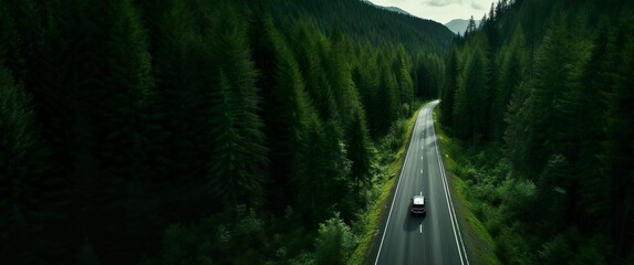 High point view of car ride in nature. Driving through a green forest in the mountains.