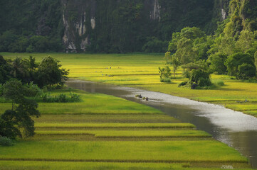 Wall Mural - Beautiful sunset landscape viewpoint from the top of Mua Cave mountain, Ninh Binh, Tam Coc in Vietnam