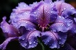 Macro of purple Iris : Generative AI