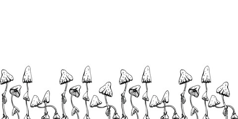 Hand drawn ink vector poisonous mushroom toadstool fungi. Sketch illustration art Halloween party witchcraft, forest nature. Isolated seamless banner. Design shops, logo, print, website, card, booklet