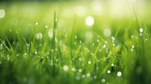 Fresh Green Grass With Dew Drops In Sunshine On Auttum And Bokeh. Abstract Blurry Background. Nature Background. Texture. Copy Space. : Generative AI
