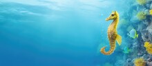 Yellow Seahorse With A Large Stomach Swims In The Ocean Isolated Pastel Background Copy Space