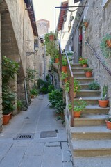 Canvas Print - A street in the medieval neighborhood of Vitorchiano, a city in Lazio in the province of Viterbo, Italy.