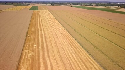 Sticker - Summer fields in Poland - drone footage.