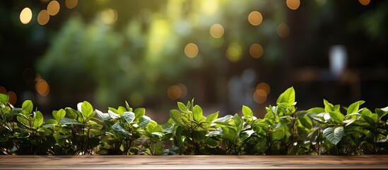 Poster - Table made of wood with bokeh light effect and outdoor garden featuring green leaves in the blurry background