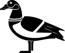 Egyptian Goose Icon