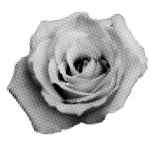 Rose Halftone Collage Element. Vintage Punk Dotted Flower, Retro Modern Floral Design. Vector  Isolated On Transparent Background