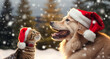 Funny dog and cat wearing in red Christmas Santa Claus hat in snow falling sky scene. Winter Landscape. Christmas Holidays. Christmas Card.
