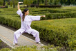 Wushu master in kimono uniform training on the park lawn