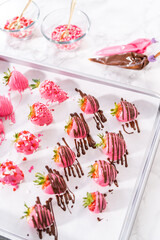 Wall Mural - Chocolate covered strawberries