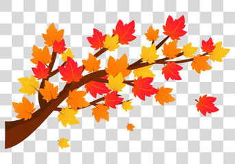 Wall Mural - Autumn Maple branch isolated on fake transparent background vector illustration