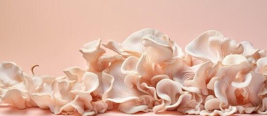 Poster - Fresh raw oyster mushrooms arranged on a isolated pastel background Copy space