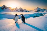 Penguins in polar region, penguins making fun, penguins walking in snow