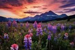 Colorful Wildflower Field at Sunrise Above Crested Butte, Colorado with Clouds and Mountain Peaks in the Early Morning Light