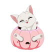 Zabawny kot bawiący się w wydrążonej różowej dyni. Ilustracja na Halloween. Cukierek albo psikus! Uroczy ręcznie rysowany mały kotek. Ilustracja wektorowa.