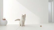 A Young Domestic Cat As It Pounces And Plays With A Feather Toy In A Serene, Minimalist Living Room Bathed In Natural Light.