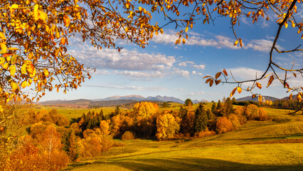 Wall Mural - View of autumn landscape framed by colorful foliage at sunset, The Western Tatras mountains in Slovakia in a background. The Orava region of Slovakia, Europe.